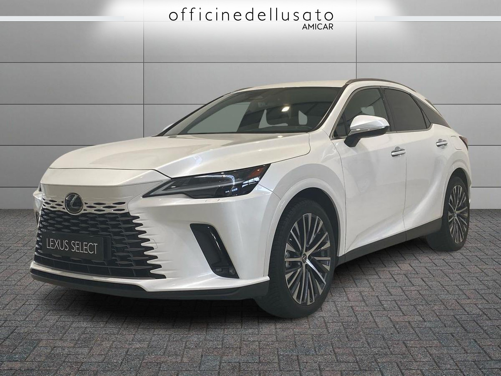RX 450+ 2.5 plug-in hybrid executive 4wd e-cvt