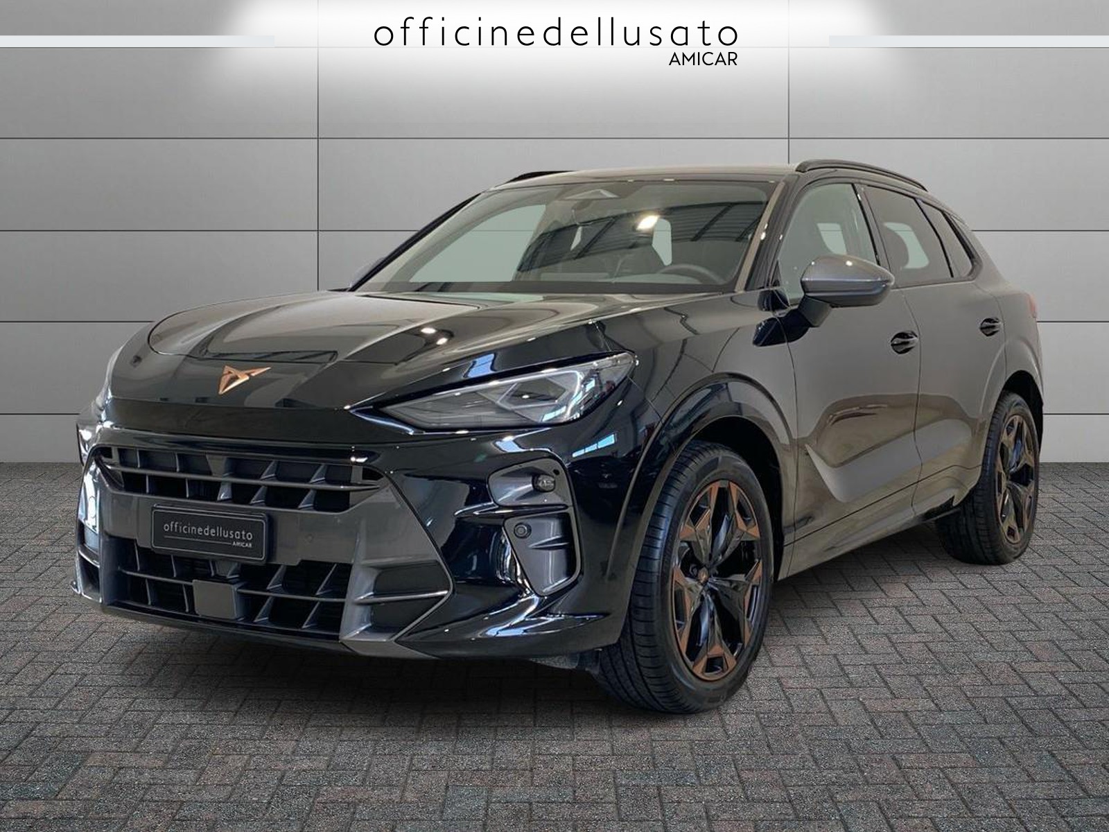 Terramar 1.5 hybrid 150cv dsg