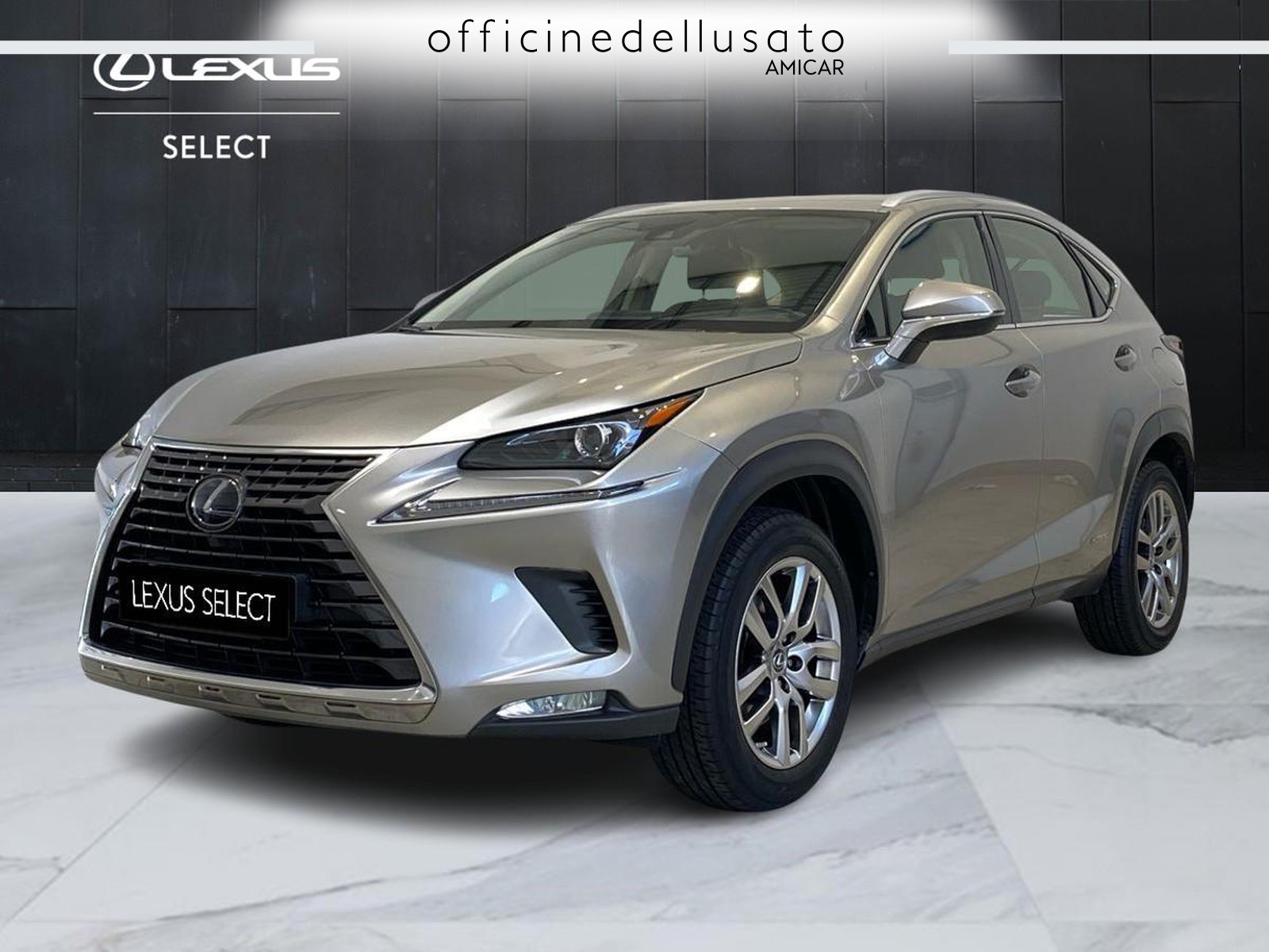 NX 300 2.5 hybrid business 4wd cvt