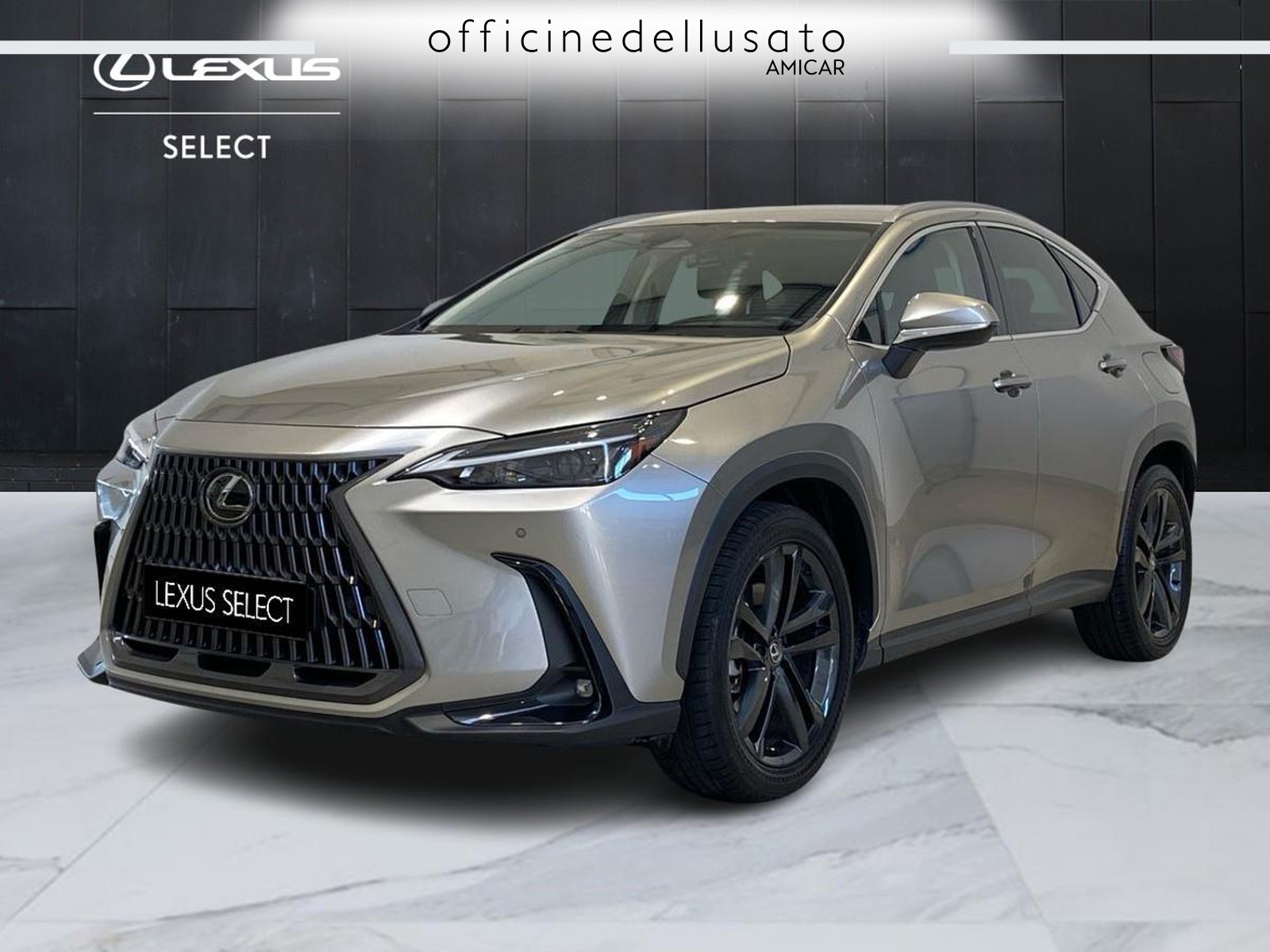 NX 450+ 2.5 plug-in premium+ 4wd e-cvt